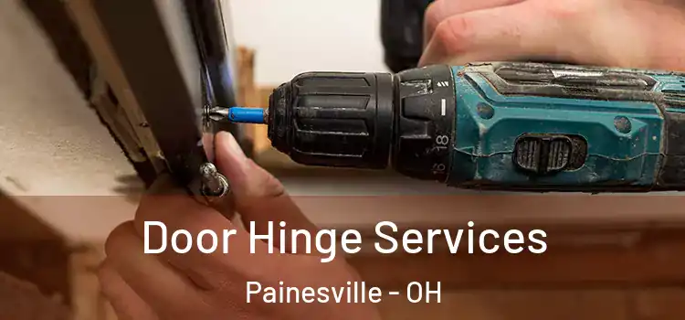  Door Hinge Services Painesville - OH