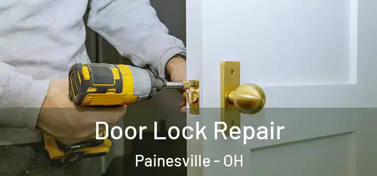 Door Lock Repair Painesville - OH