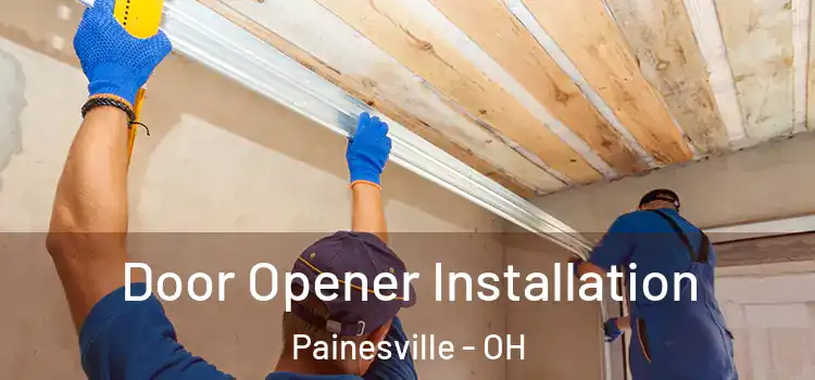  Door Opener Installation Painesville - OH