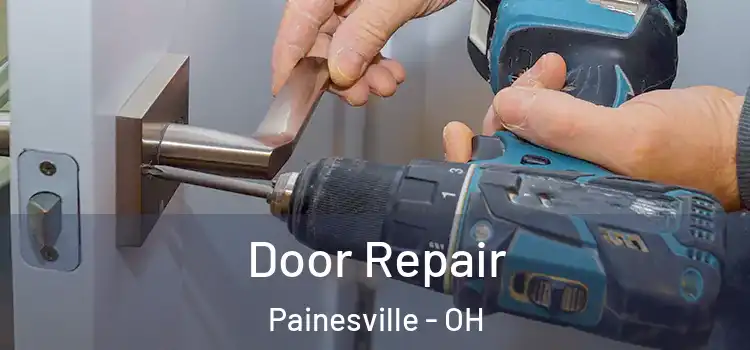  Door Repair Painesville - OH