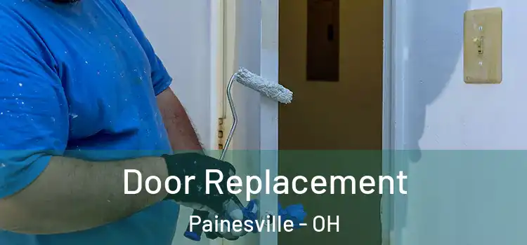  Door Replacement Painesville - OH