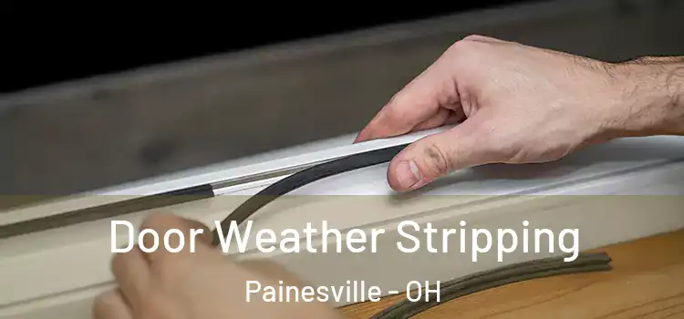 Door Weather Stripping Painesville - OH