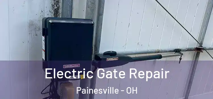  Electric Gate Repair Painesville - OH