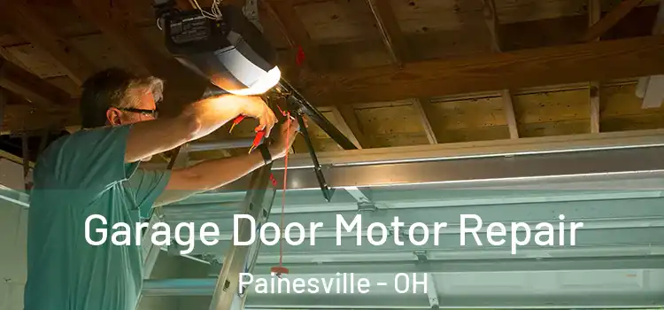  Garage Door Motor Repair Painesville - OH