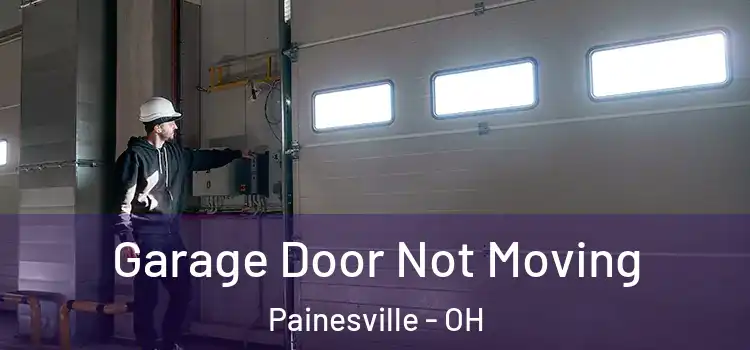  Garage Door Not Moving Painesville - OH