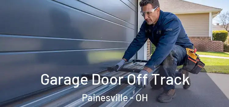  Garage Door Off Track Painesville - OH