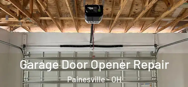  Garage Door Opener Repair Painesville - OH