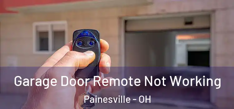  Garage Door Remote Not Working Painesville - OH