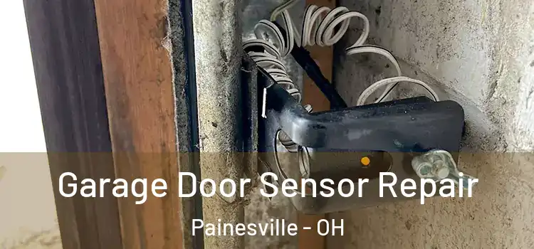 Garage Door Sensor Repair Painesville - OH
