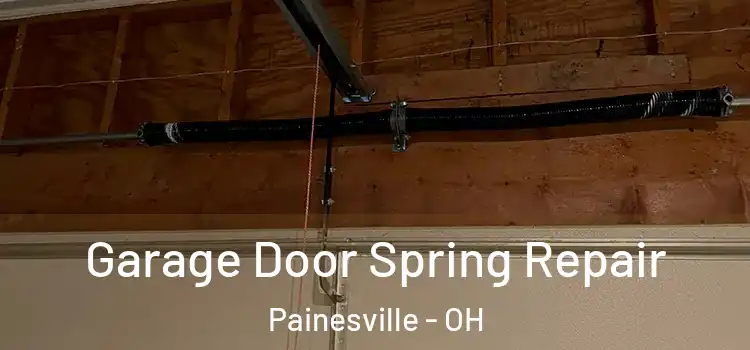  Garage Door Spring Repair Painesville - OH