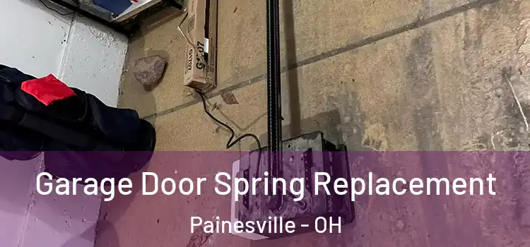  Garage Door Spring Replacement Painesville - OH