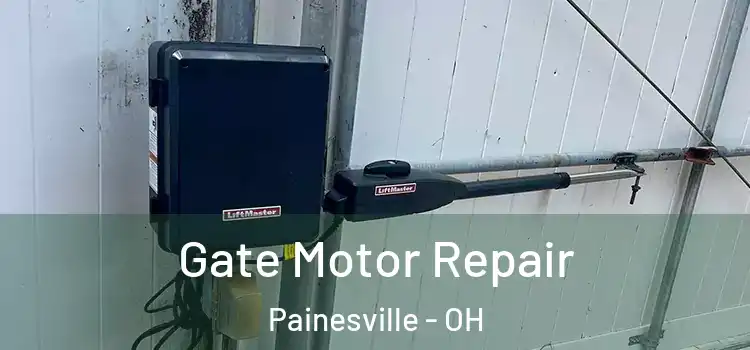 Gate Motor Repair Painesville - OH