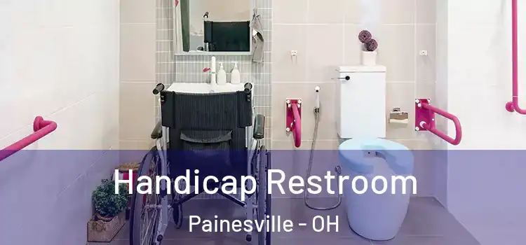  Handicap Restroom Painesville - OH