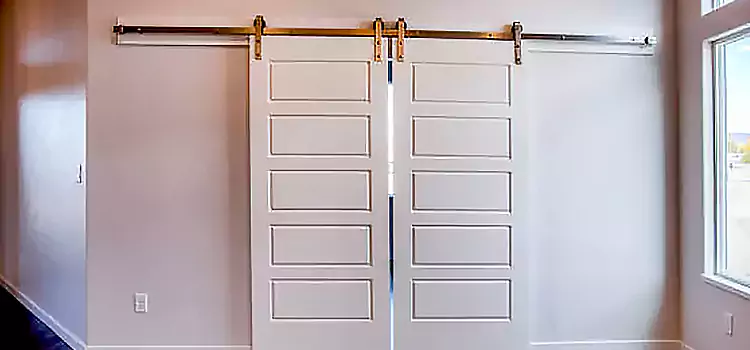 Glass Barn Door with Installation Hardware Kit Painesville