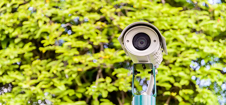 Advanced Surveillance Solutions for Every Need in Painesville