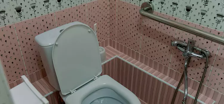 Meeting Diverse Needs With Accessible Restroom Solutions in Painesville, OH