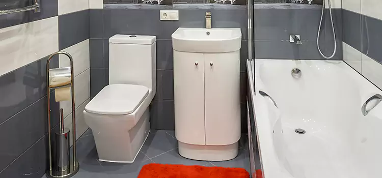 Hansgrohe Shaving Mirror Painesville