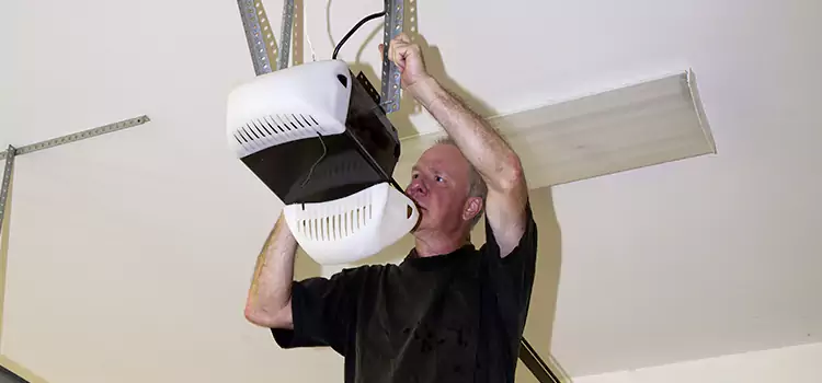 Garage Door Opener Service Painesville