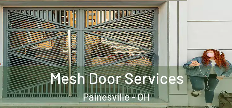  Mesh Door Services Painesville - OH
