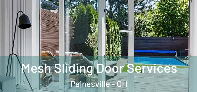  Mesh Sliding Door Services Painesville - OH