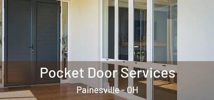  Pocket Door Services Painesville - OH