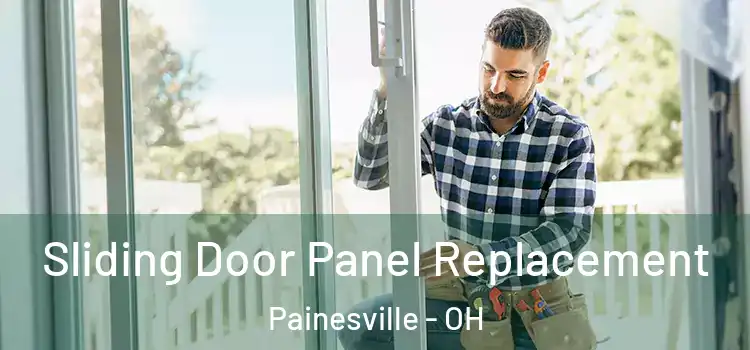  Sliding Door Panel Replacement Painesville - OH