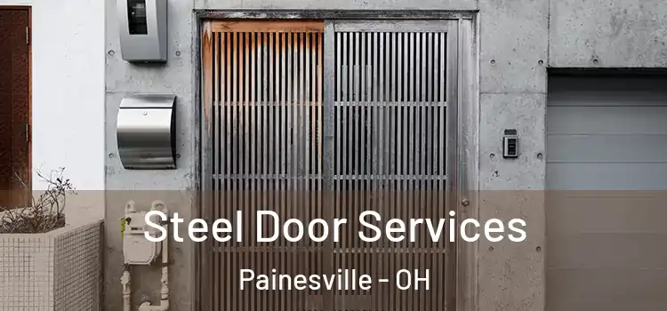  Steel Door Services Painesville - OH