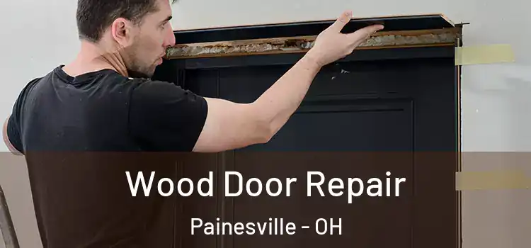  Wood Door Repair Painesville - OH